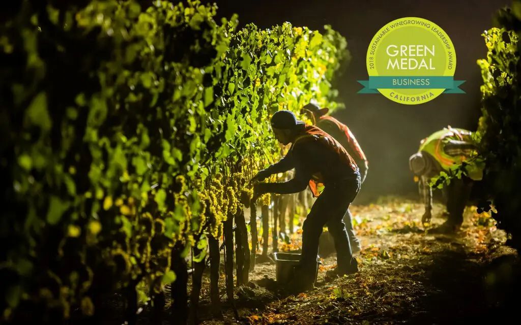 1/4: Crews picking at night for Cakebread Cellars