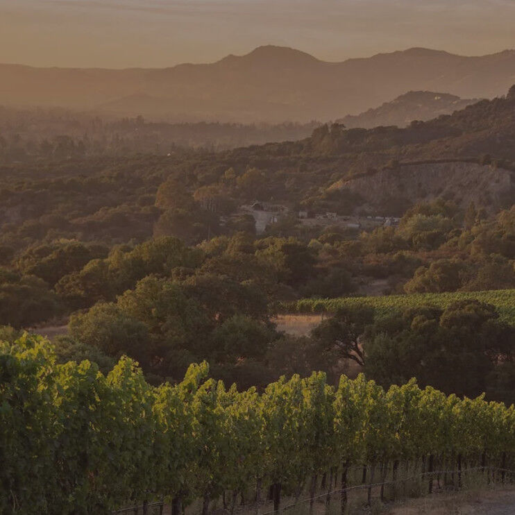 Cakebread Cellars: Suscol Ranches