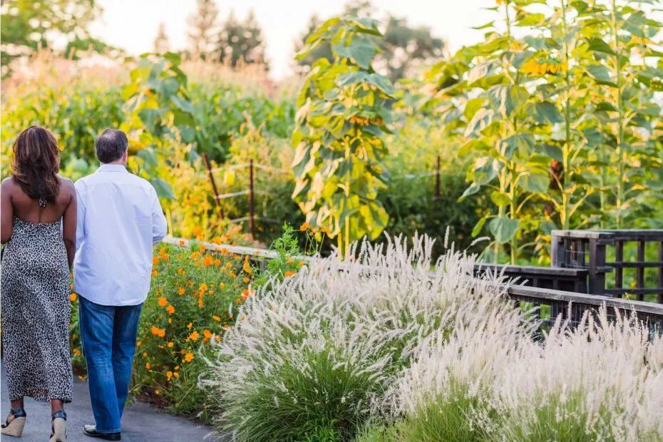 Guests strolling through the culinary garden