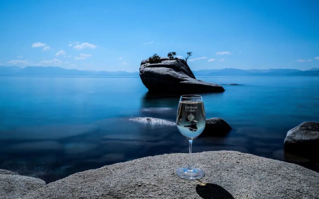 3/6: 2018 Photo Contest Winner by Susan L "Bonsai Rock"