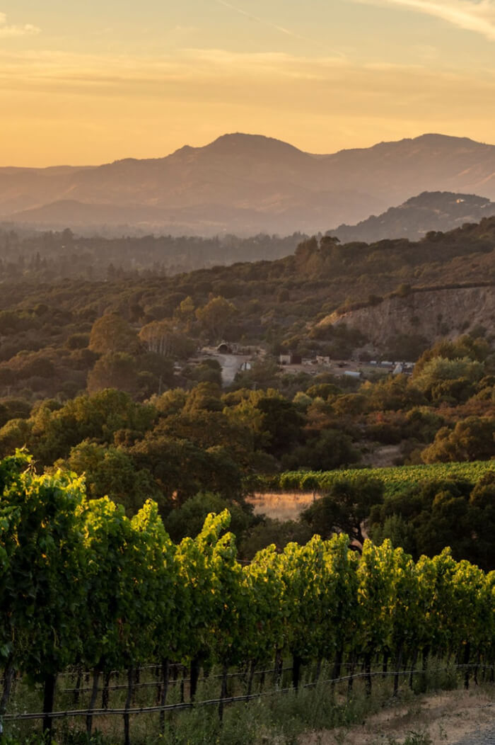 2022 Two Creeks Pinot Noir Anderson Valley